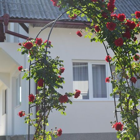 Casa Maria Hostal Prundul Birgaului Exterior foto